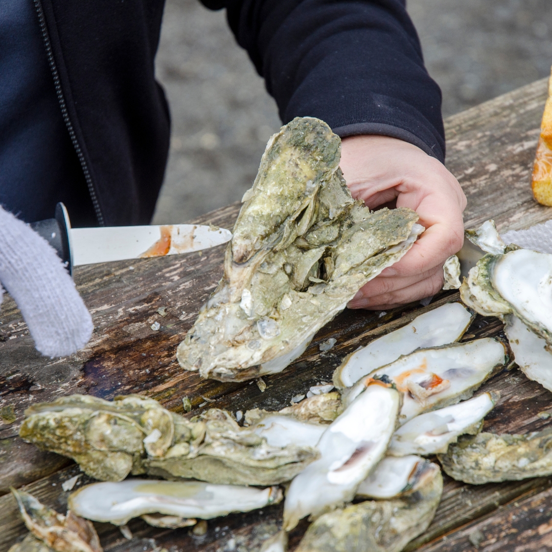 Labor Day Mingo Point Oyster Roast & BBQ Event